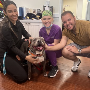 Fundraising Page: Sebastian Sucerquia